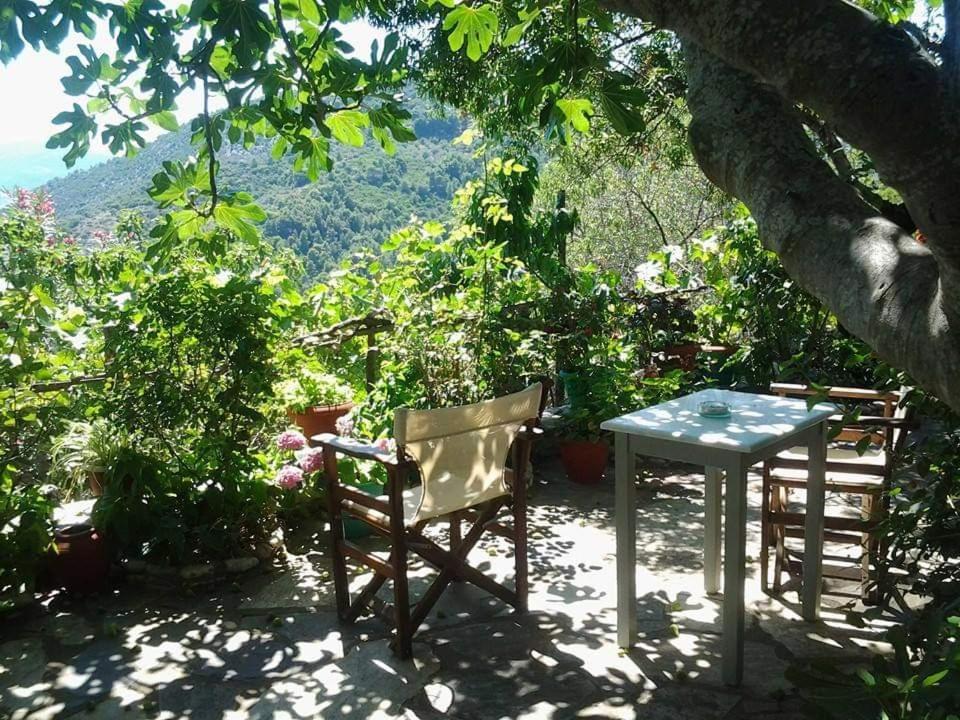 Villa Panayiota Alónnisos Exterior foto